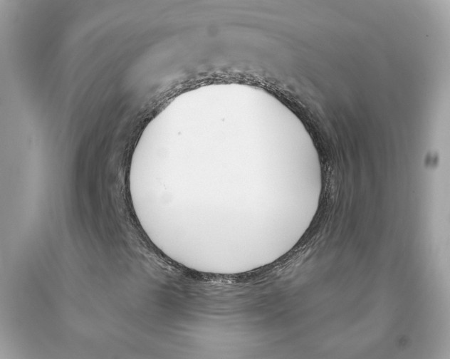 X0000091071489200709041208