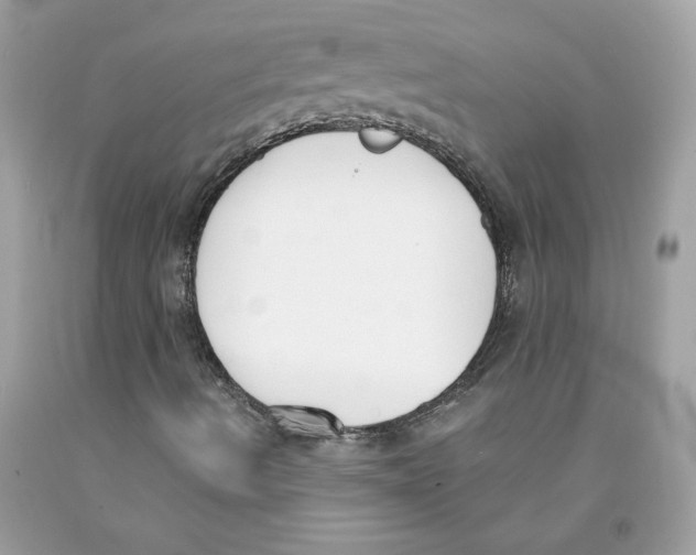 X0000091071490200709041208