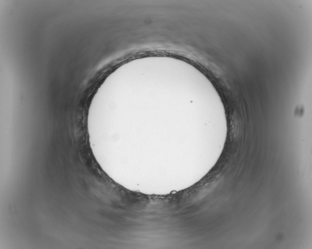 X0000091071494200709041208