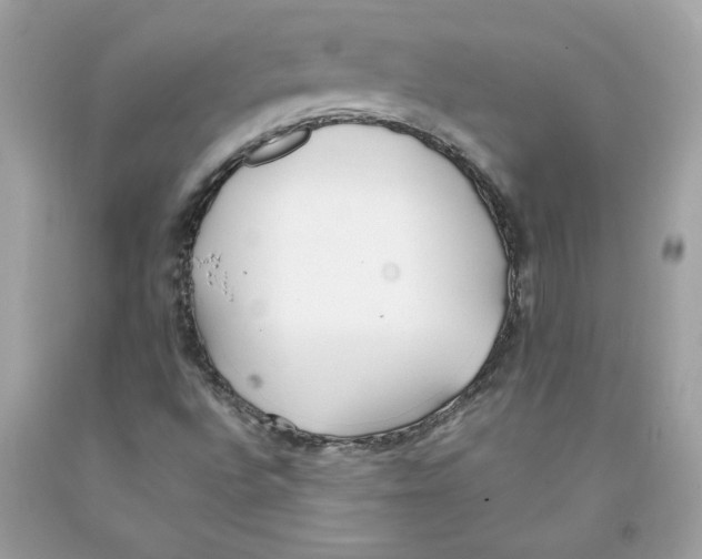 X0000091071496200709041208