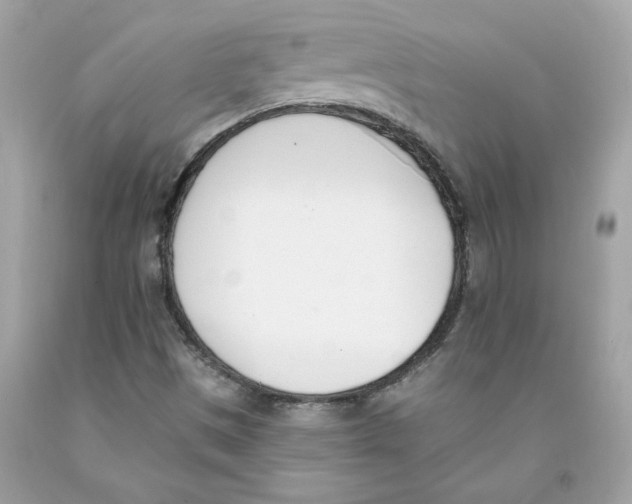 X0000091071497200709041208