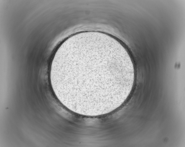 X0000091071498200709041208