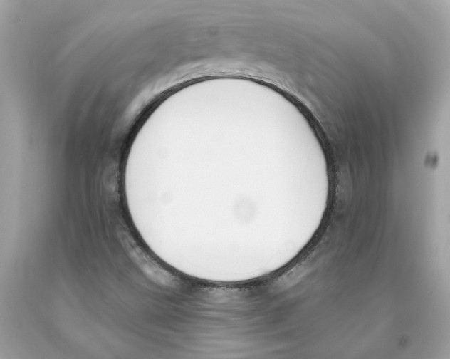 X0000091071499200709041208