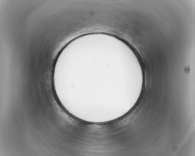X0000091071500200709041208