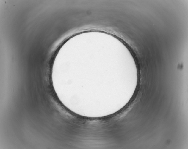 X0000091071502200709041208