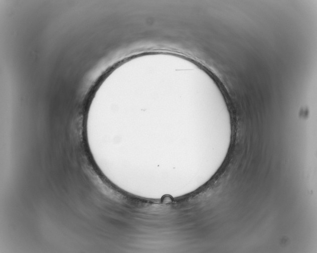 X0000091071503200709041208