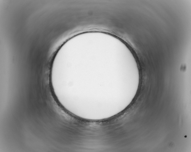 X0000091071504200709041209