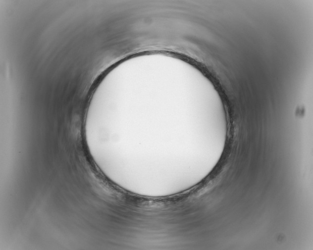 X0000091071505200709041209