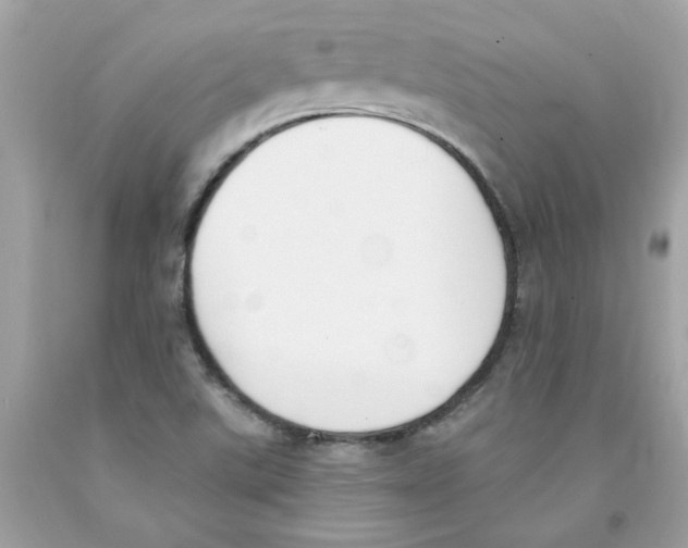 X0000091071507200709041209