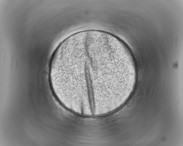 X0000091071508200709041209