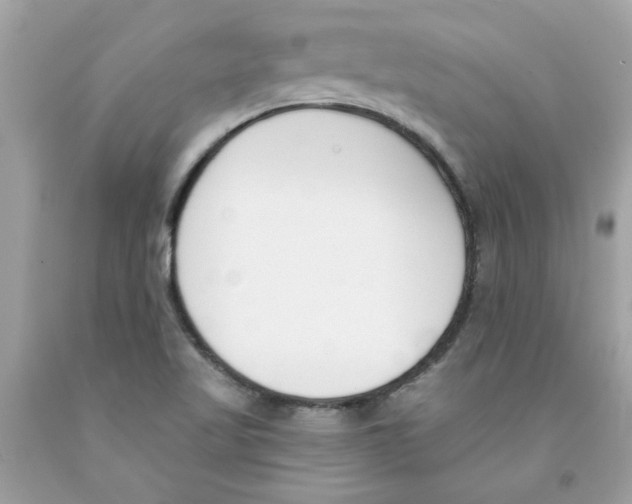 X0000091071509200709041209