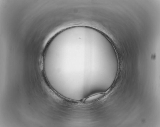X0000091071510200709041209