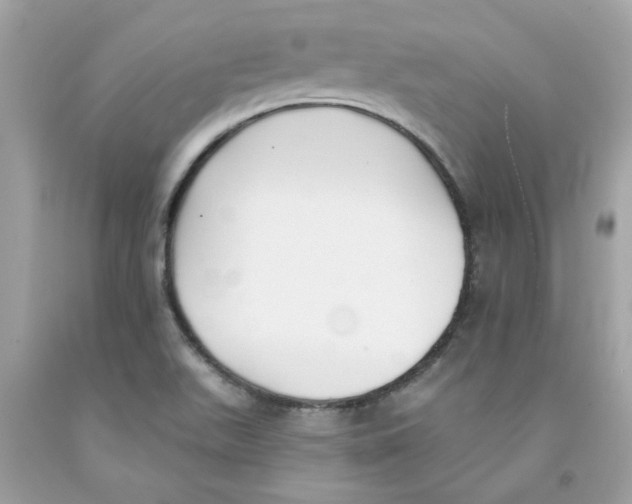 X0000091071511200709041209
