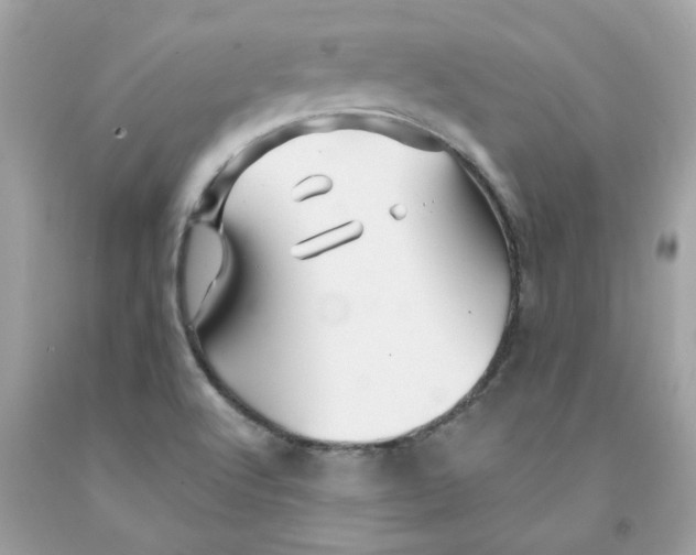 X0000091071512200709041209