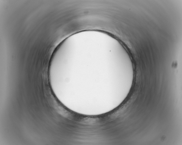 X0000091071513200709041209