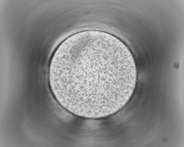 X0000091071514200709041209