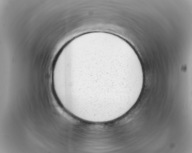 X0000091071515200709041209