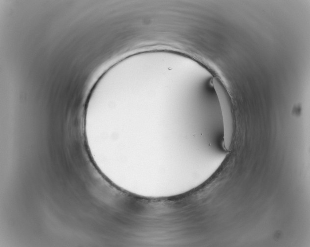 X0000091071516200709041209