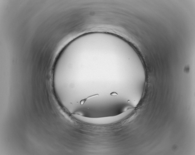 X0000091071517200709041209