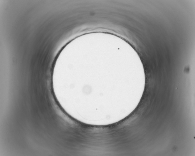 X0000091071518200709041209