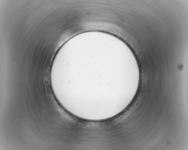 X0000091071521200709041209