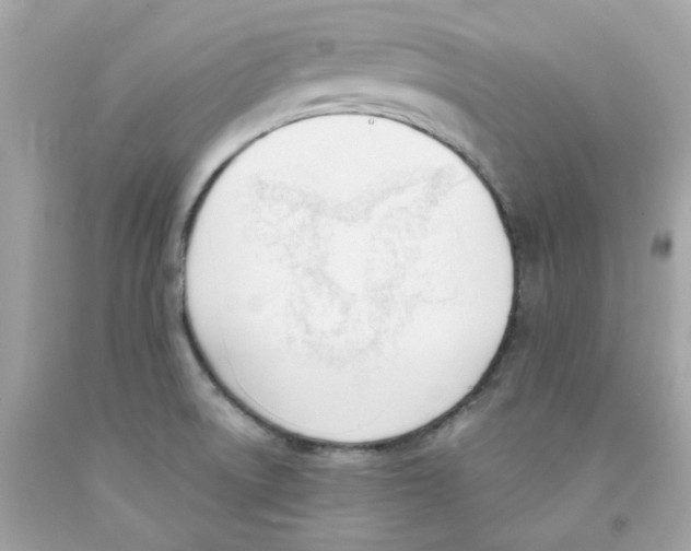 X0000091071522200709041209
