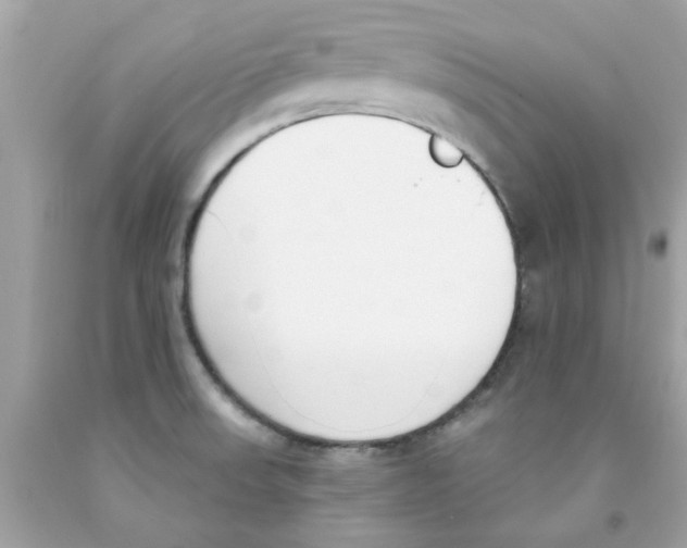 X0000091071523200709041209