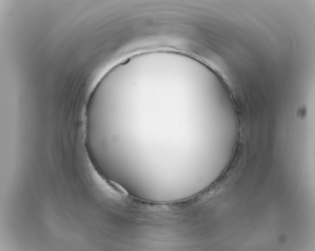 X0000091071524200709041209