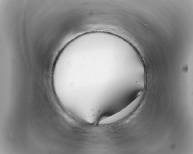 X0000091071525200709041209
