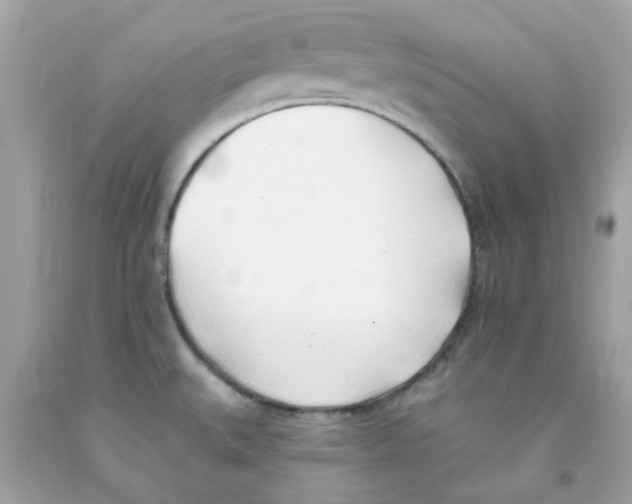 X0000091071527200709041209