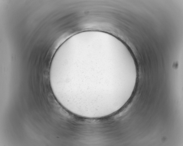 X0000091071529200709041209