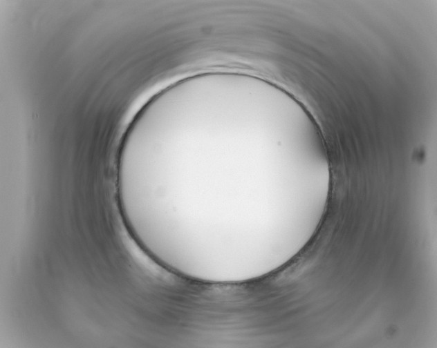 X0000091071531200709041209