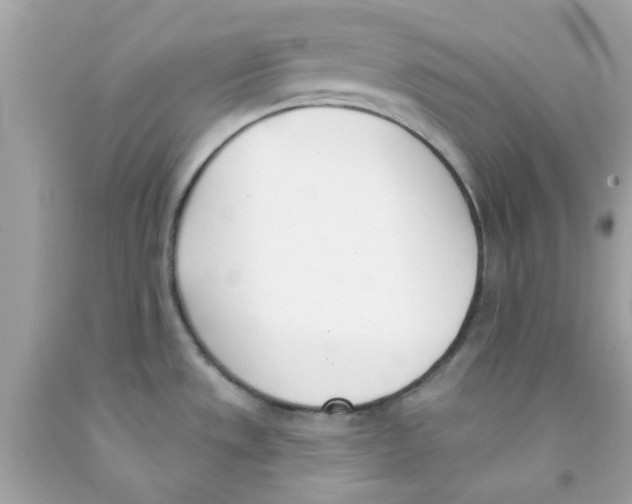 X0000091071533200709041209