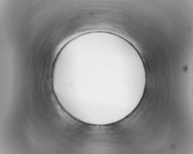 X0000091071534200709041209