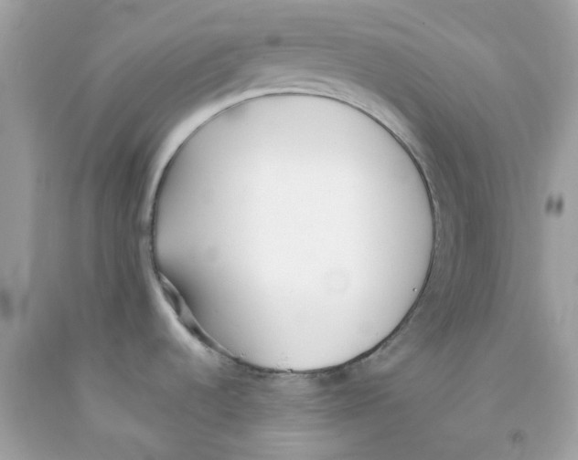 X0000091071536200709041209