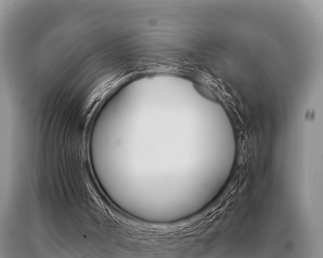 X0000091080002200708061056
