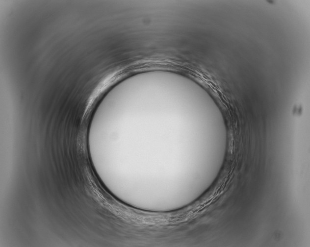 X0000091080004200708061056