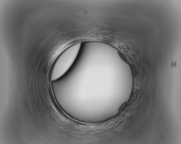X0000091080005200708061056