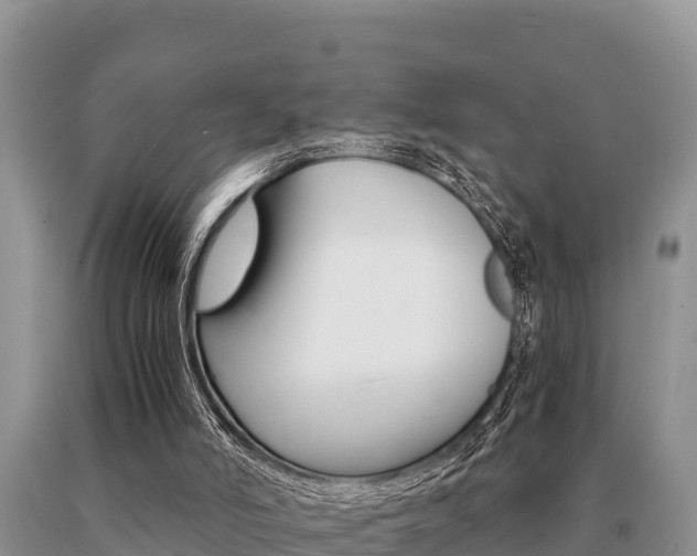 X0000091080006200708061056