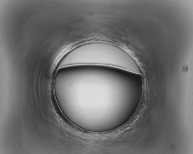 X0000091080007200708061056