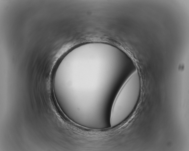 X0000091080008200708061056