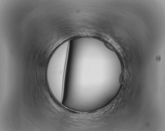 X0000091080009200708061056