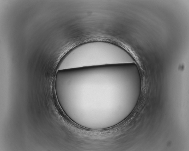 X0000091080010200708061056