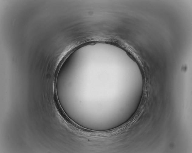 X0000091080011200708061056