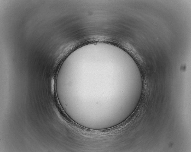 X0000091080014200708061056