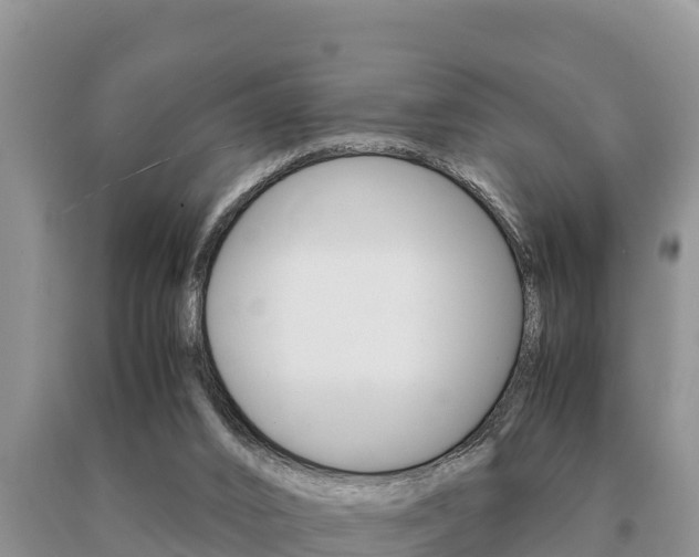 X0000091080016200708061056