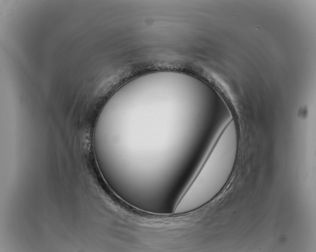 X0000091080017200708061056