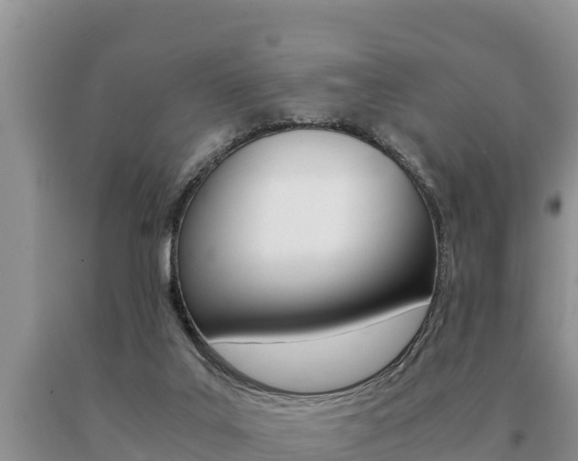X0000091080019200708061056