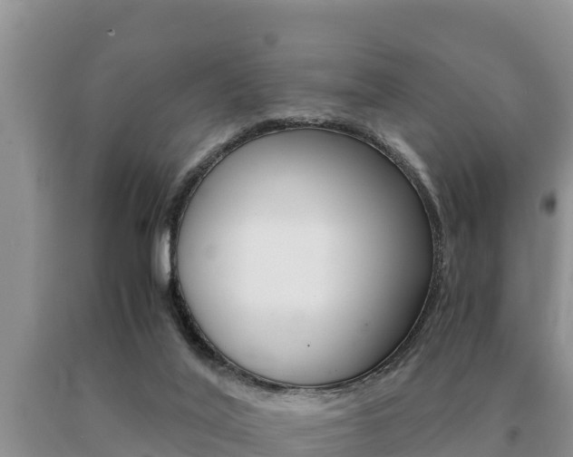 X0000091080020200708061056