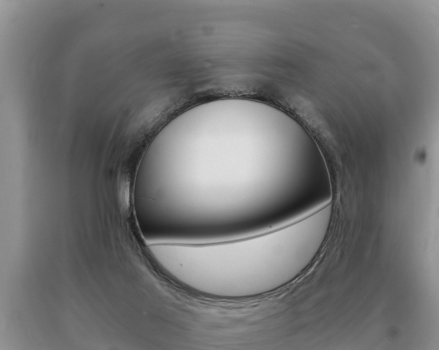 X0000091080021200708061056